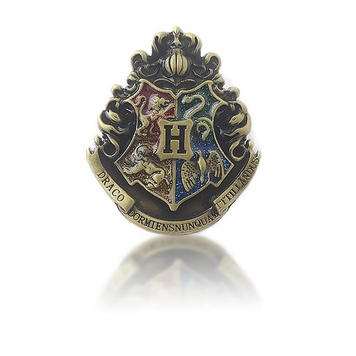 Broche Harry Potter